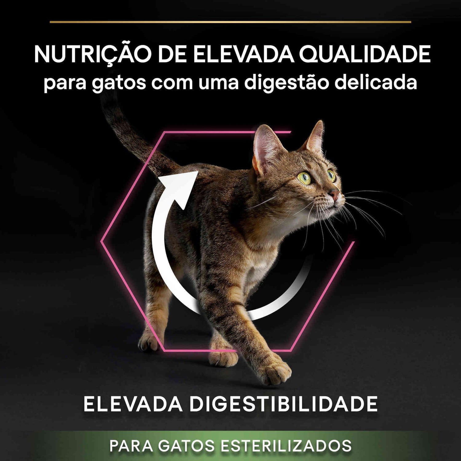 Ração para Gato Adulto Esterilizado Delicate Digestion Frango Purina Pro Plan