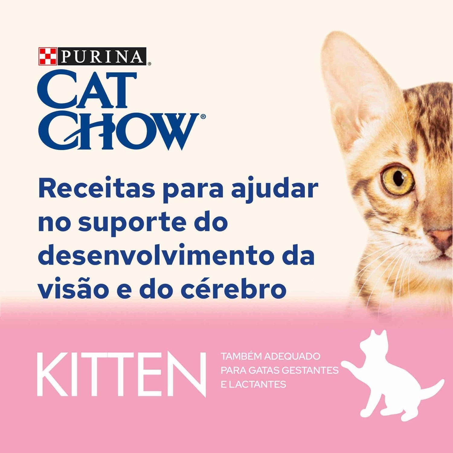 Comida Húmida para Gato Júnior Peru Saquetas Purina Cat Chow