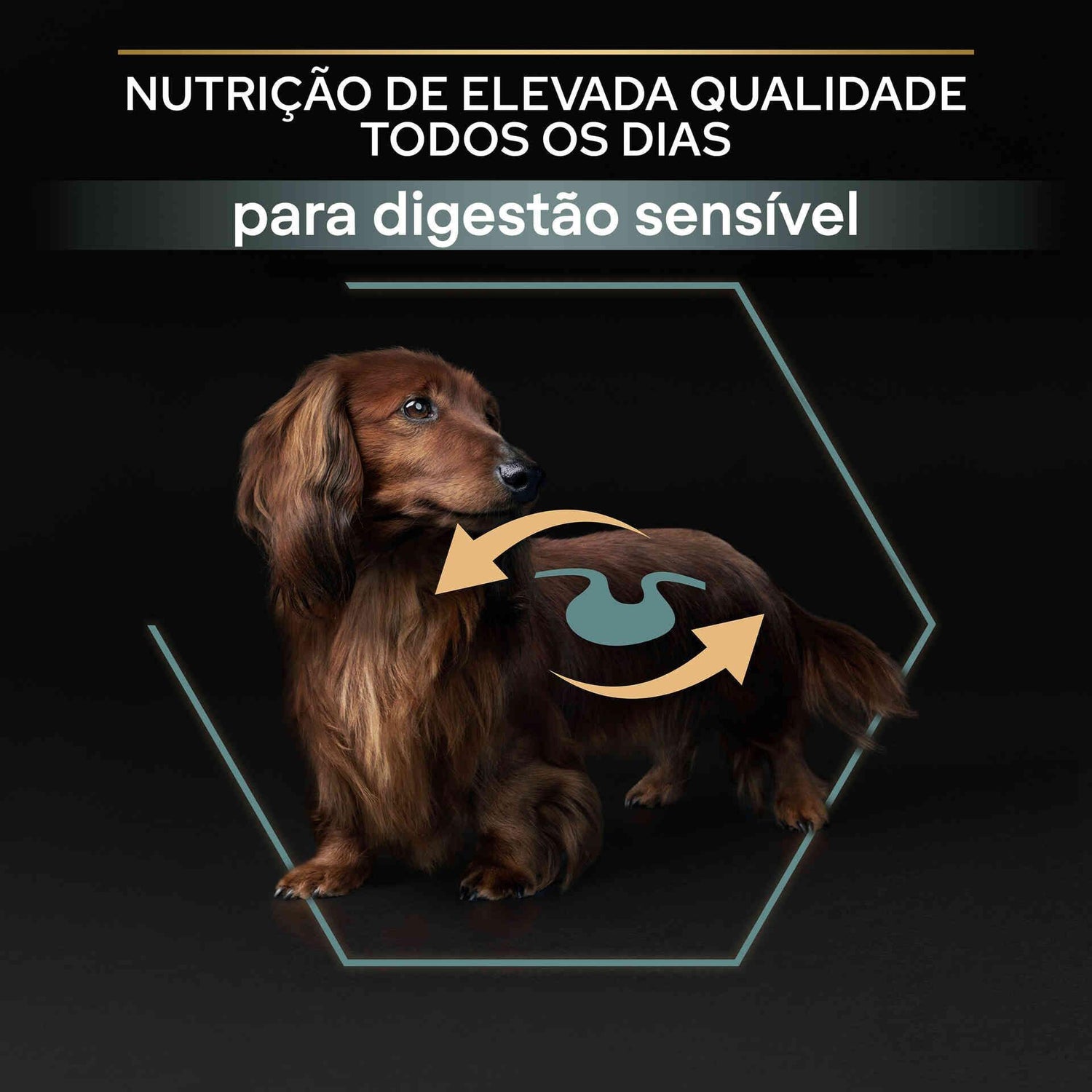 Ração para Cão Adulto Mini Sensitive Digestion Borrego Purina Pro Plan