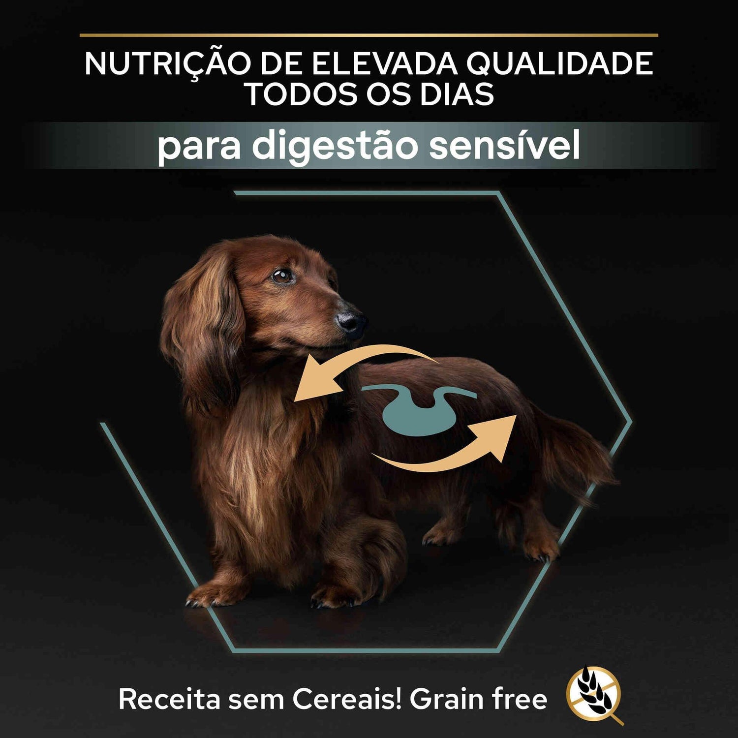 Ração para Cão Adulto Mini Sem Cereais Sensitive Digestion Peru Purina Pro Plan