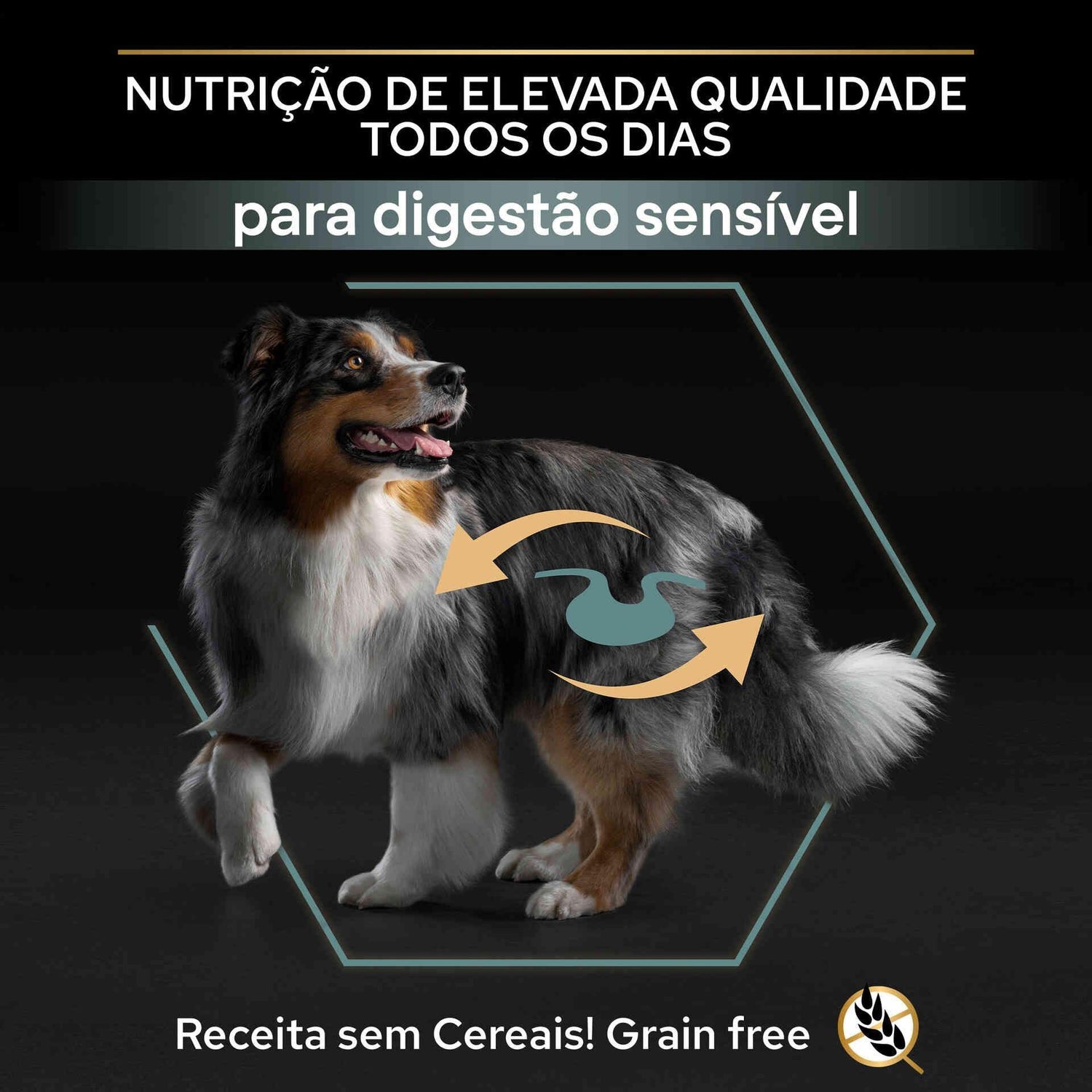 Ração para Cão Adulto Médio e Maxi Sem Cereais Sensitive Digestion Peru Purina Pro Plan
