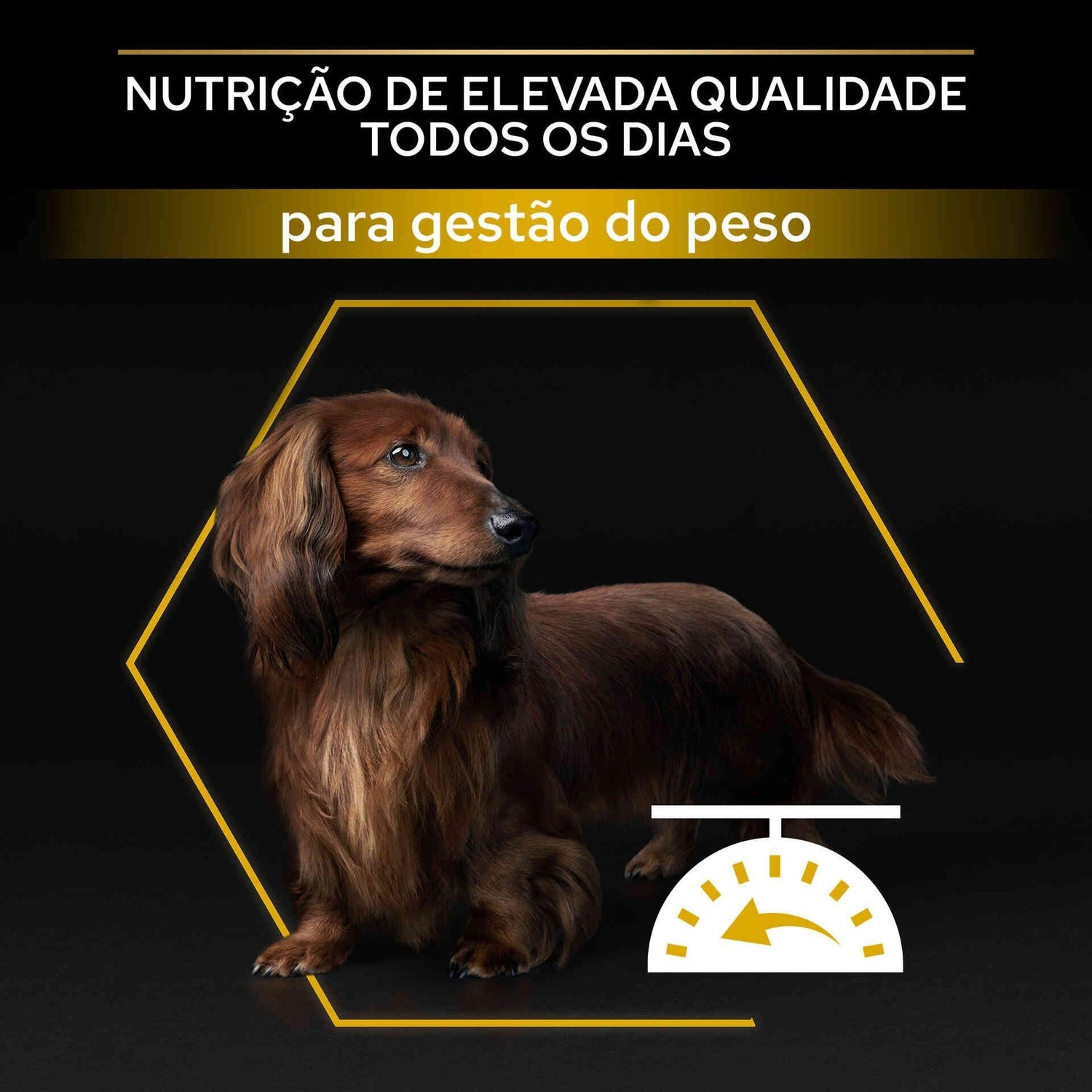 Ração para Cão Adulto Mini Esterilizado Light Frango Purina Pro Plan