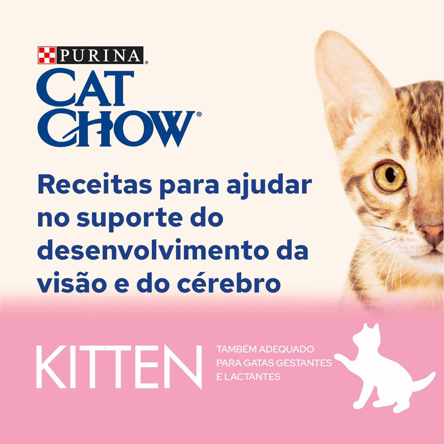 Comida Húmida para Gato Júnior Borrego Purina Cat Chow