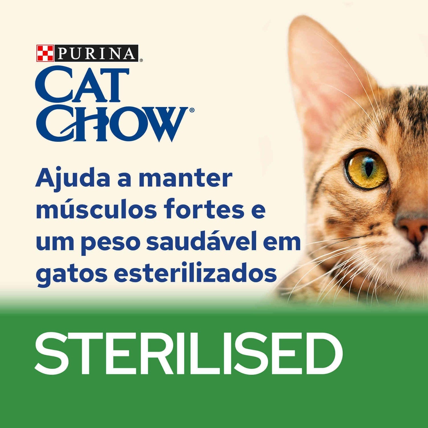 Comida Húmida para Gato Adulto Esterilizado Frango e Beringela Purina Cat Chow