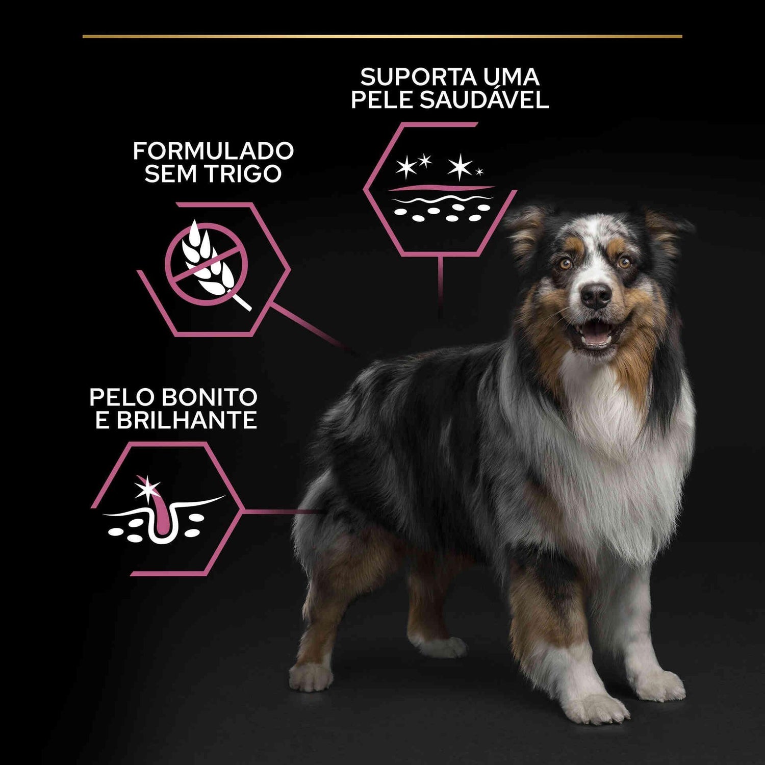 Ração para Cão Adulto Sensitive Skin Purina Pro Plan
