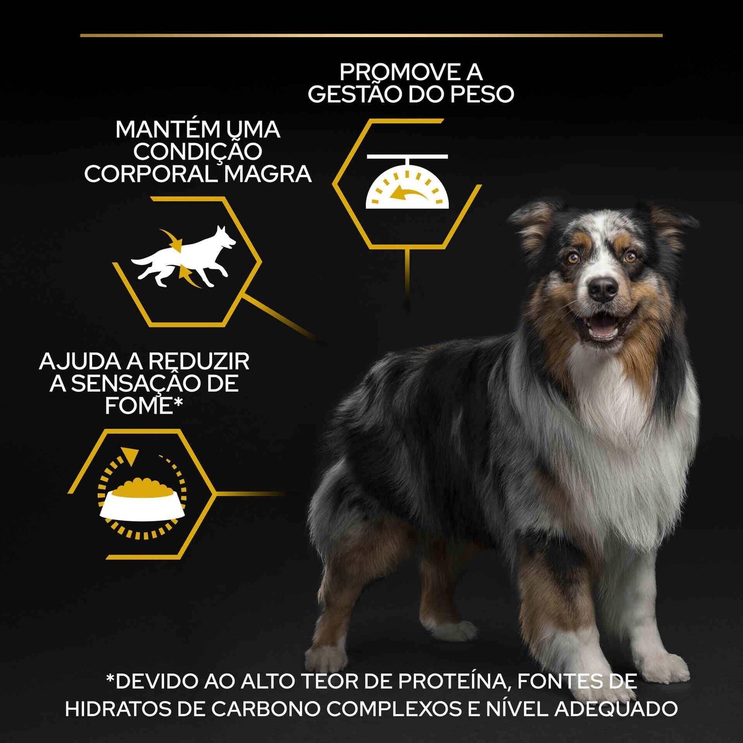 Ração para Cão Adulto Esterilizado Light Purina Pro Plan
