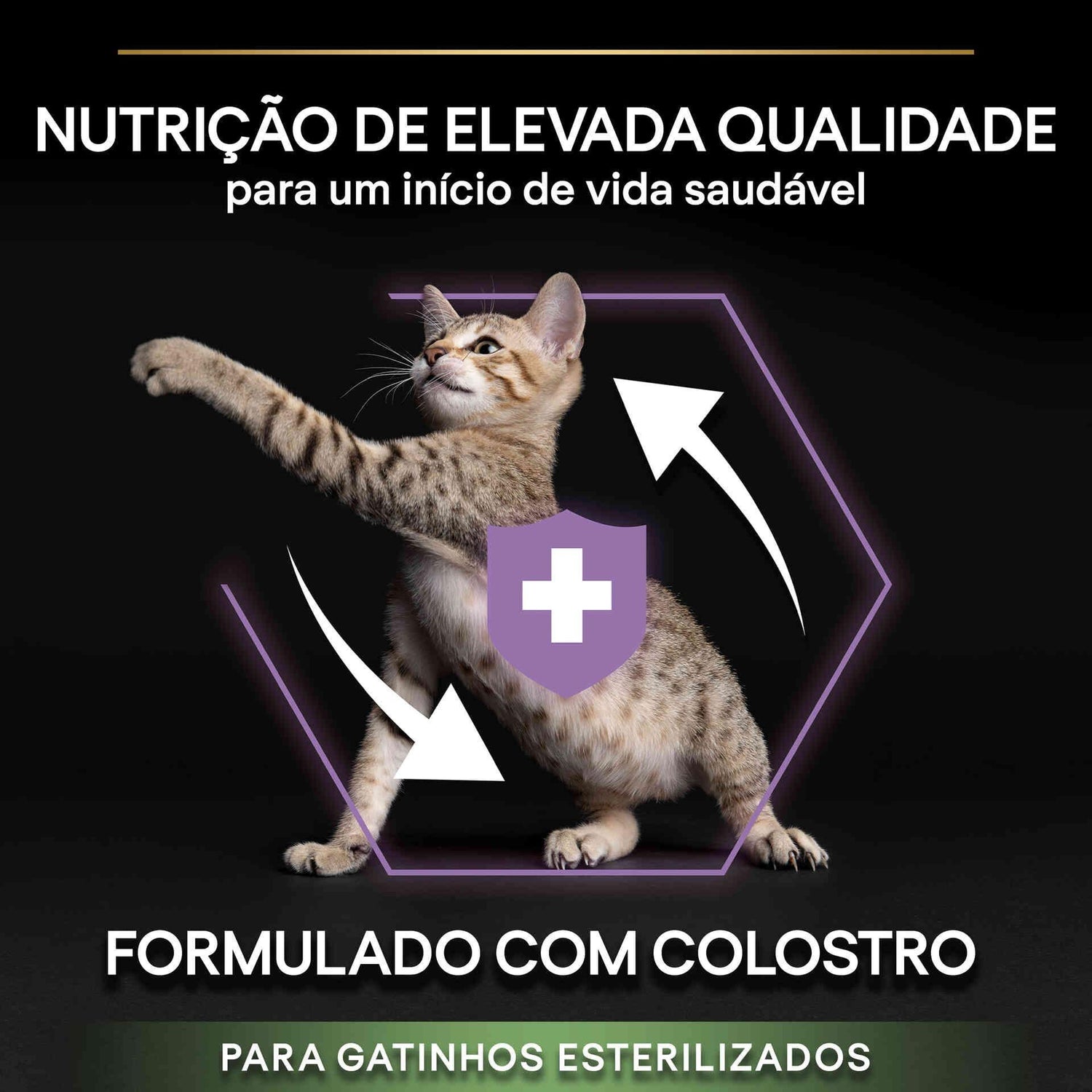 Ração para Gato Júnior Esterilizado Healthy Start Salmão Purina Pro Plan