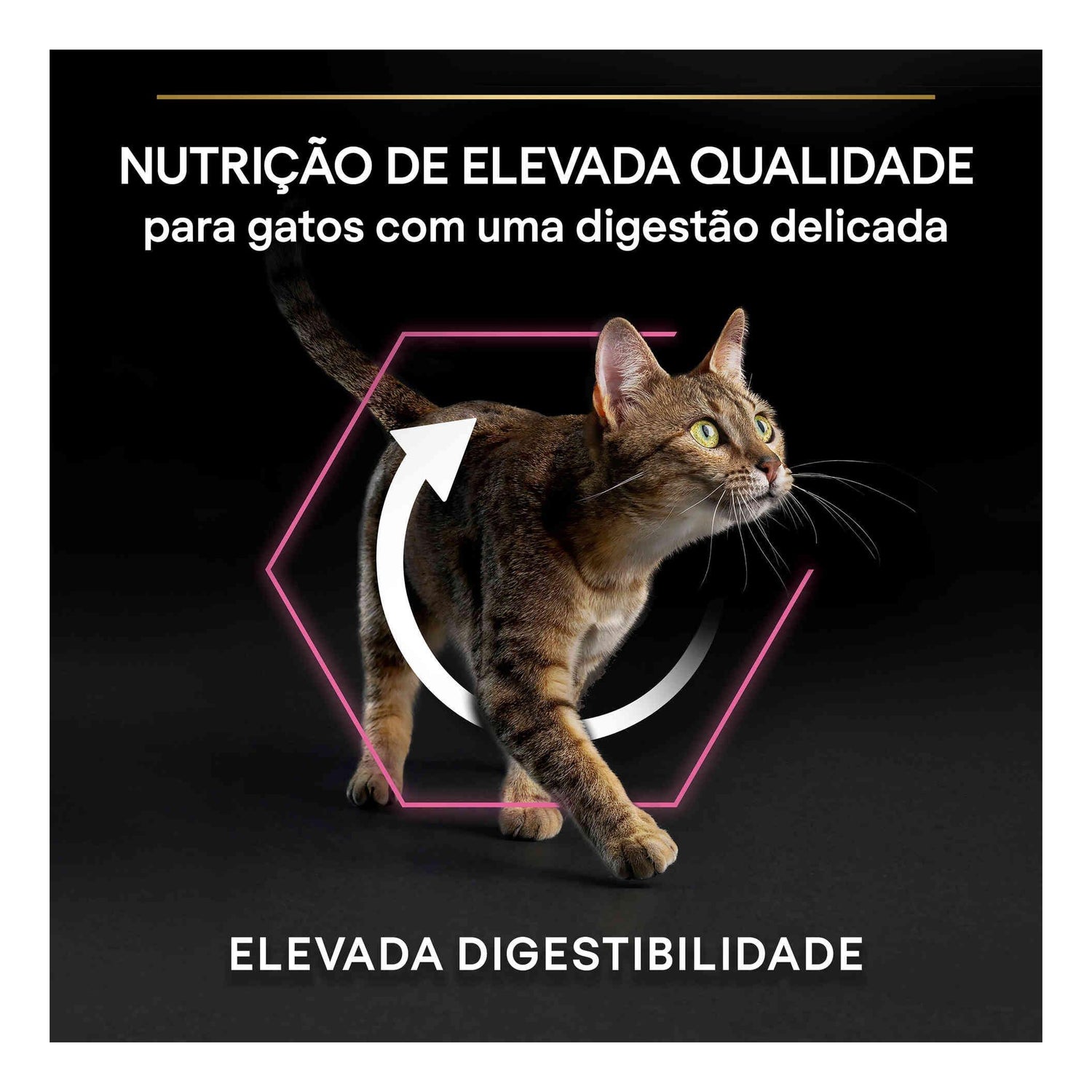 Ração para Gato Adulto Borrego Purina Pro Plan