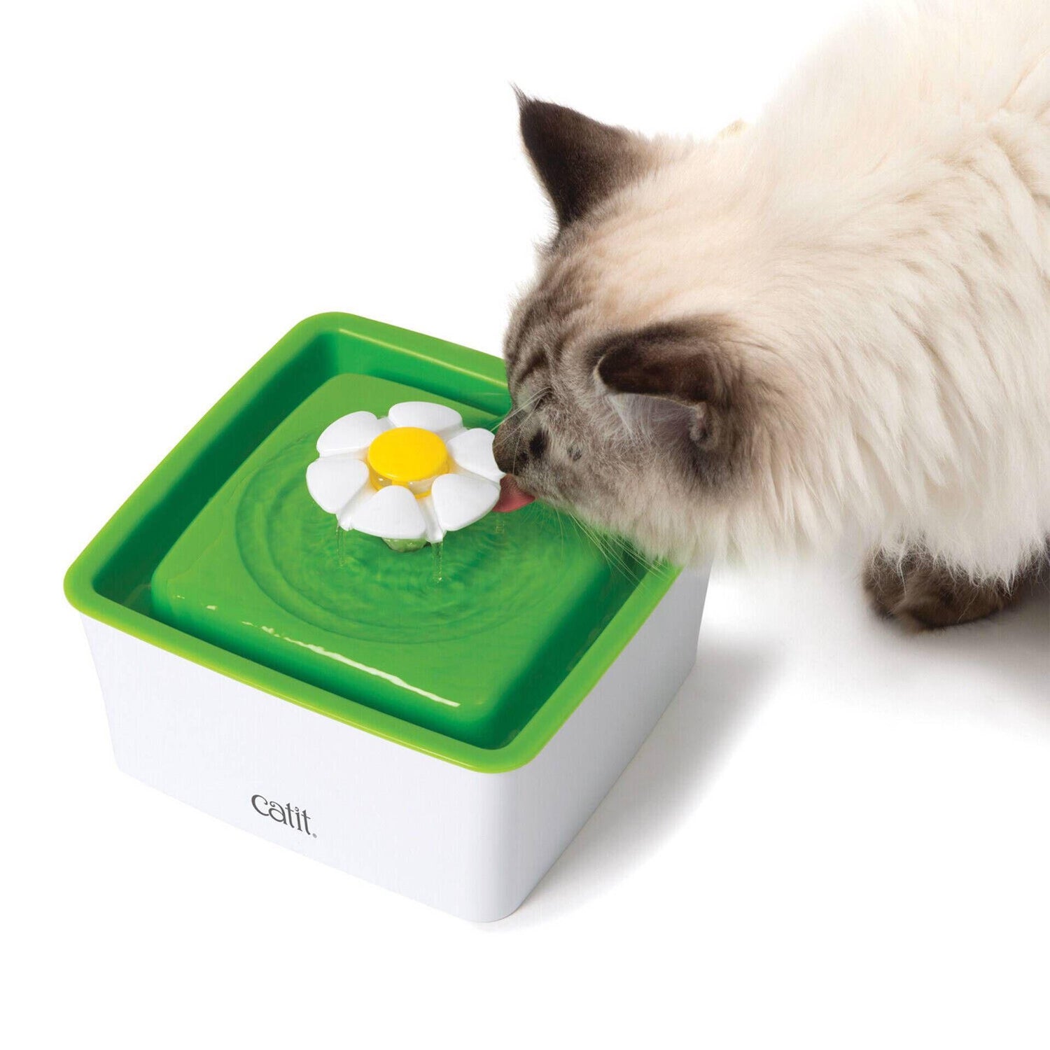 Fonte flower Catit