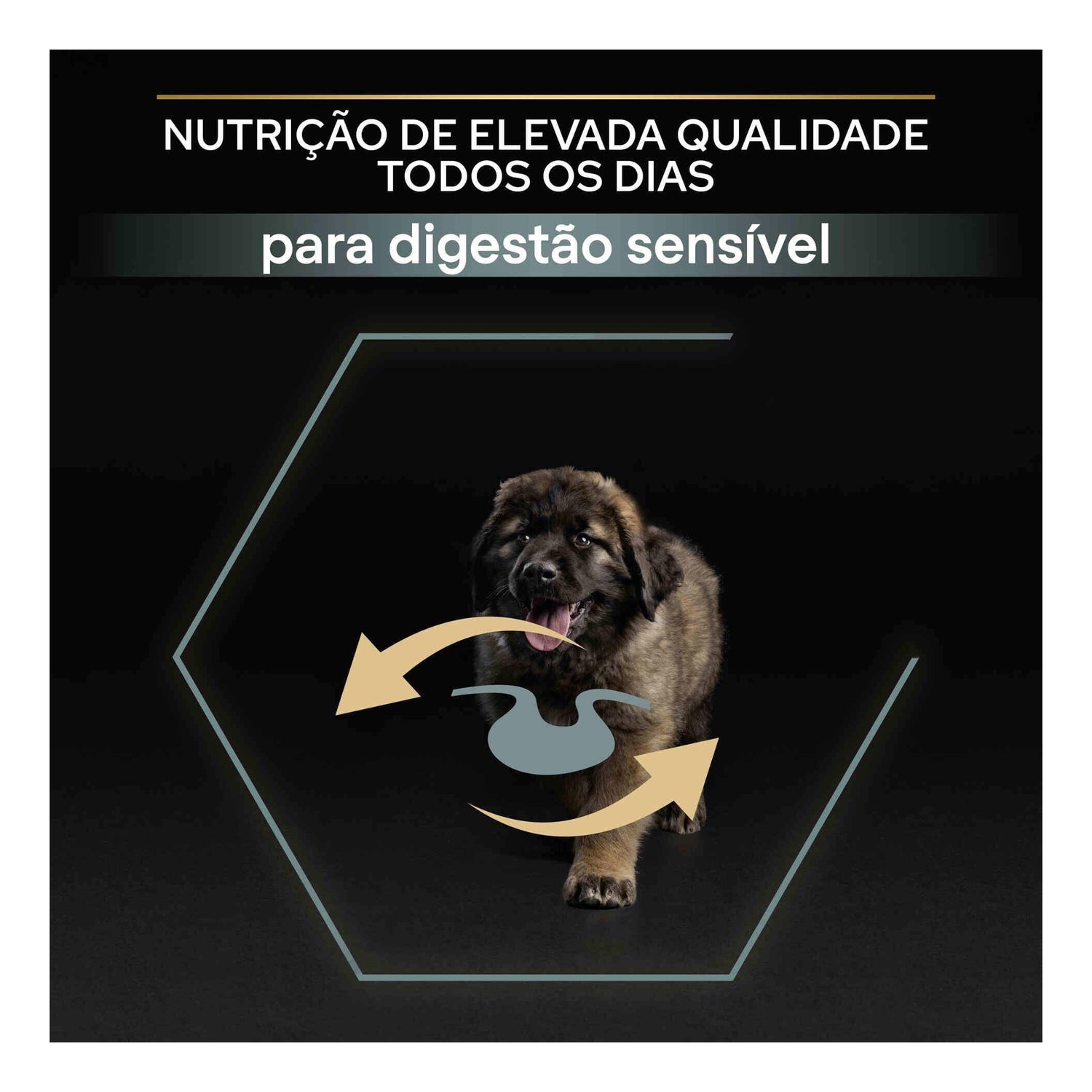 Ração para Cão Júnior Maxi Robust Sensitive Digestion Borrego Purina Pro Plan