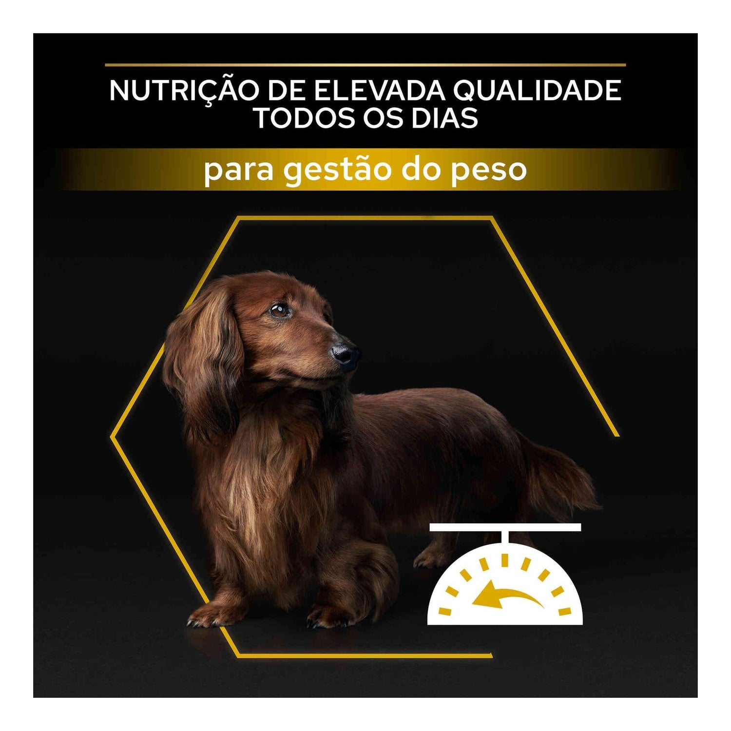 Ração para Cão Adulto Esterilizado Light Frango Purina Pro Plan