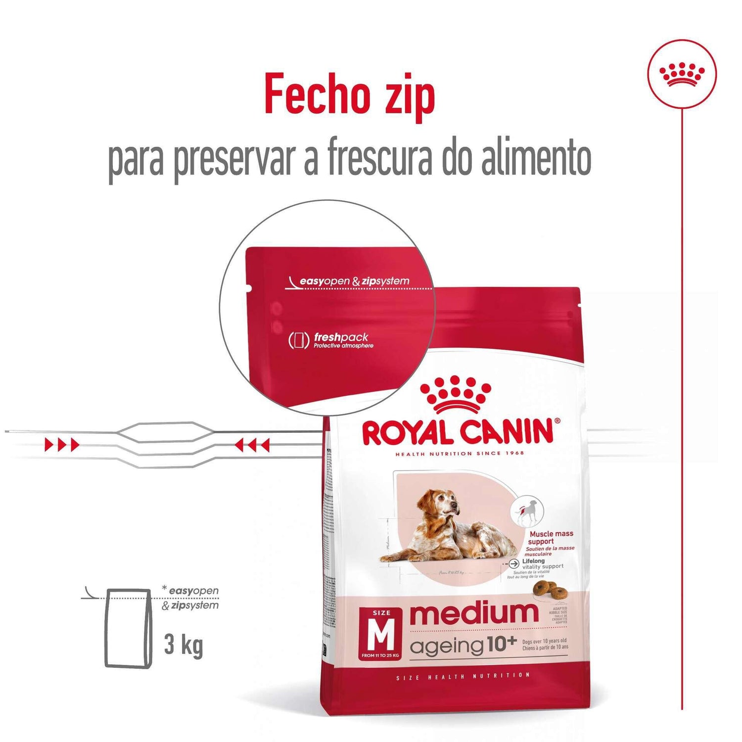 Ração para Cão Sénior Medio Ageing +10 Royal Canin