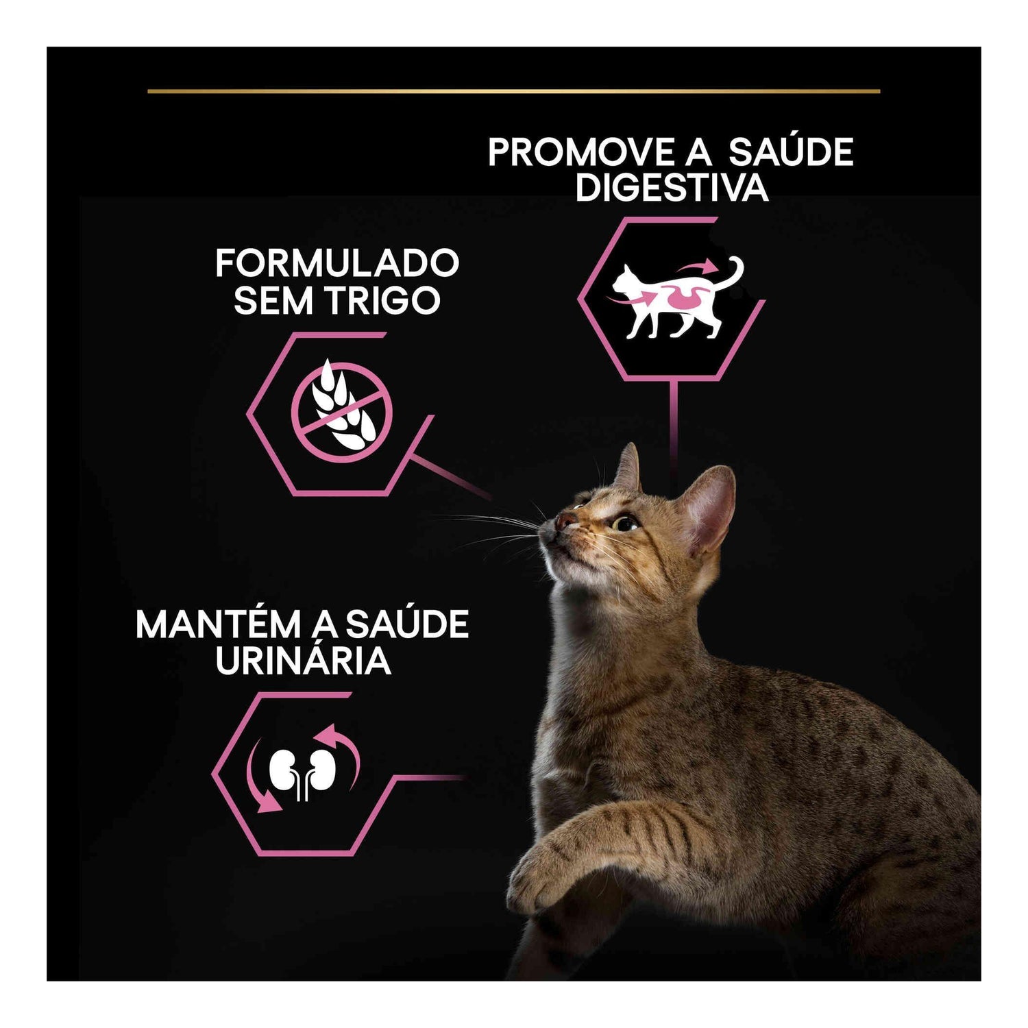 Ração para Gato Adulto Esterilizado Delicate Digestion Frango Purina Pro Plan