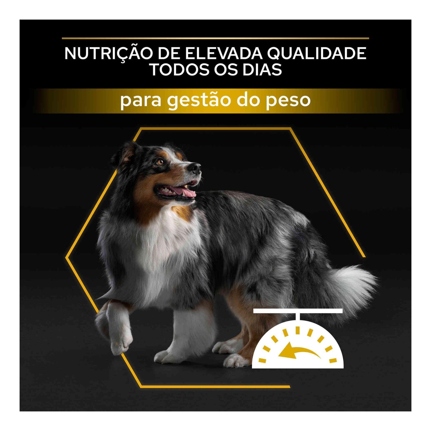Ração para Cão Light/Esterilizado Borrego Purina Pro Plan