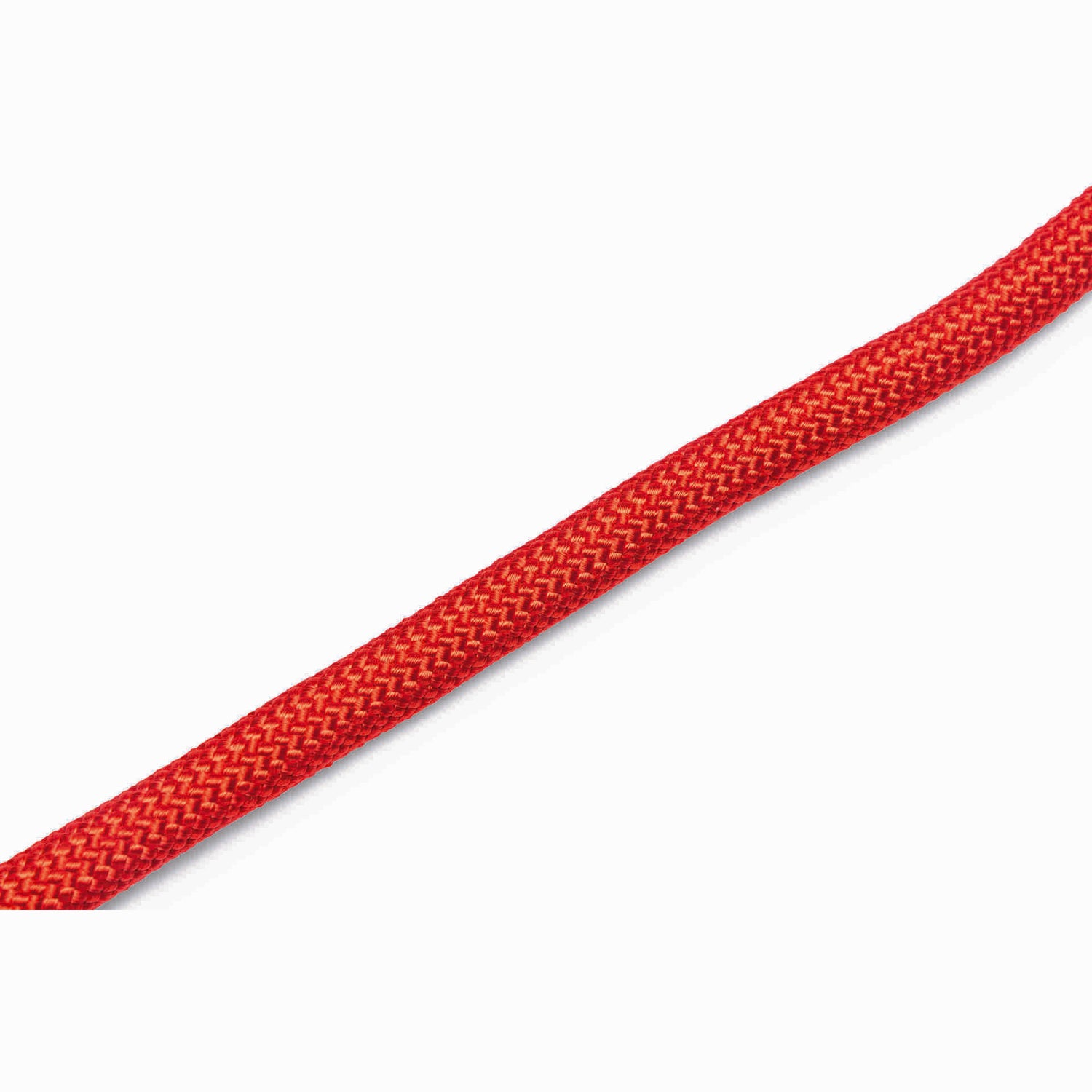 Trela para Cão Corda Nylon Parinca Beeztees