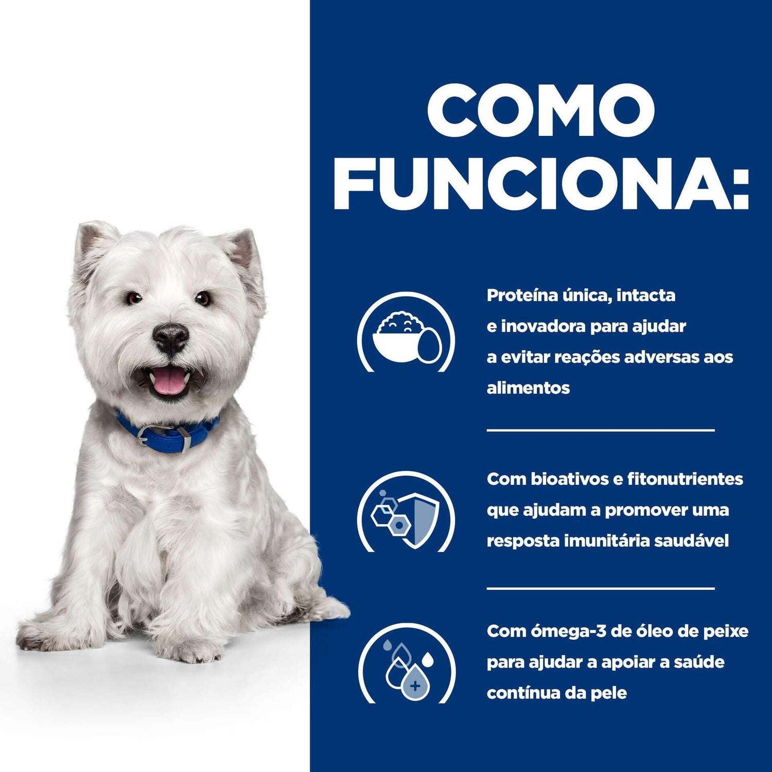 Ração para Cão Mini Derm Complete Ovo Hill'S Prescription Diet