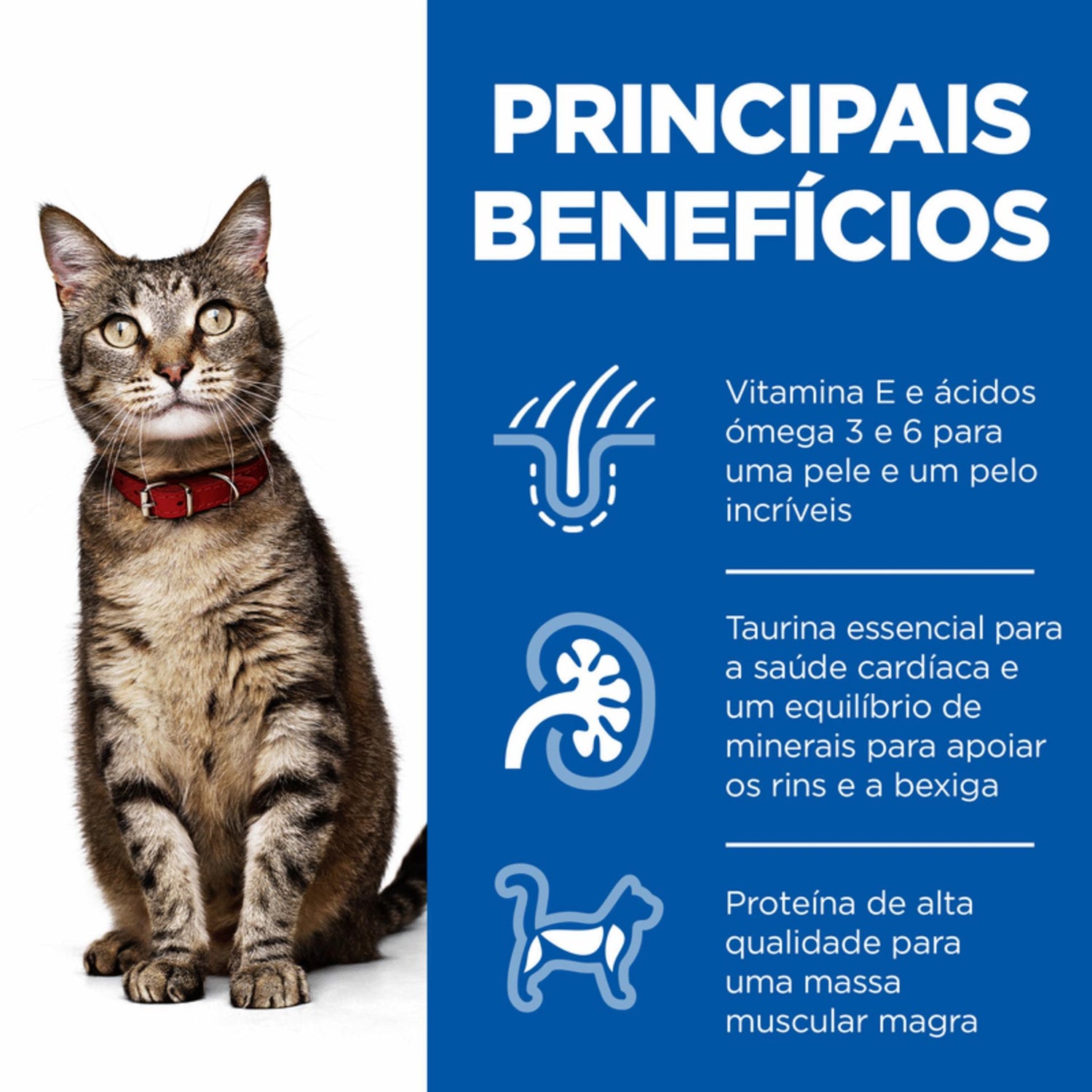 Ração para Gato Adulto Frango Hill's Science Plan