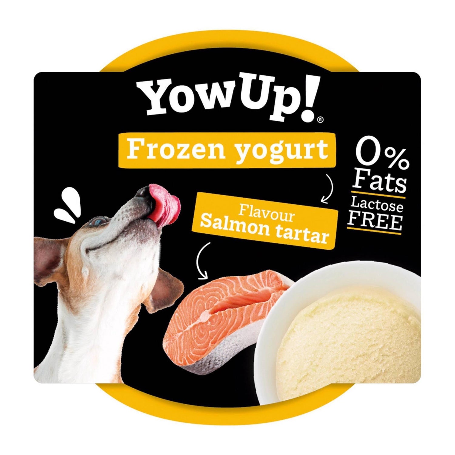 Iogurte Congelado para Cão Salmão Tartar Yowup!