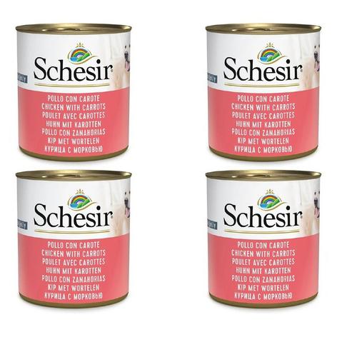 Pack Comida Húmida para Cão Adulto Frango e Papaia Terrina Schesir