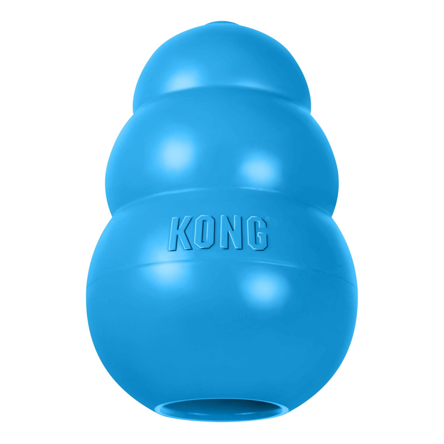 Brinquedo para Cão Júnior para Dentes e Gengivas Azul Kong