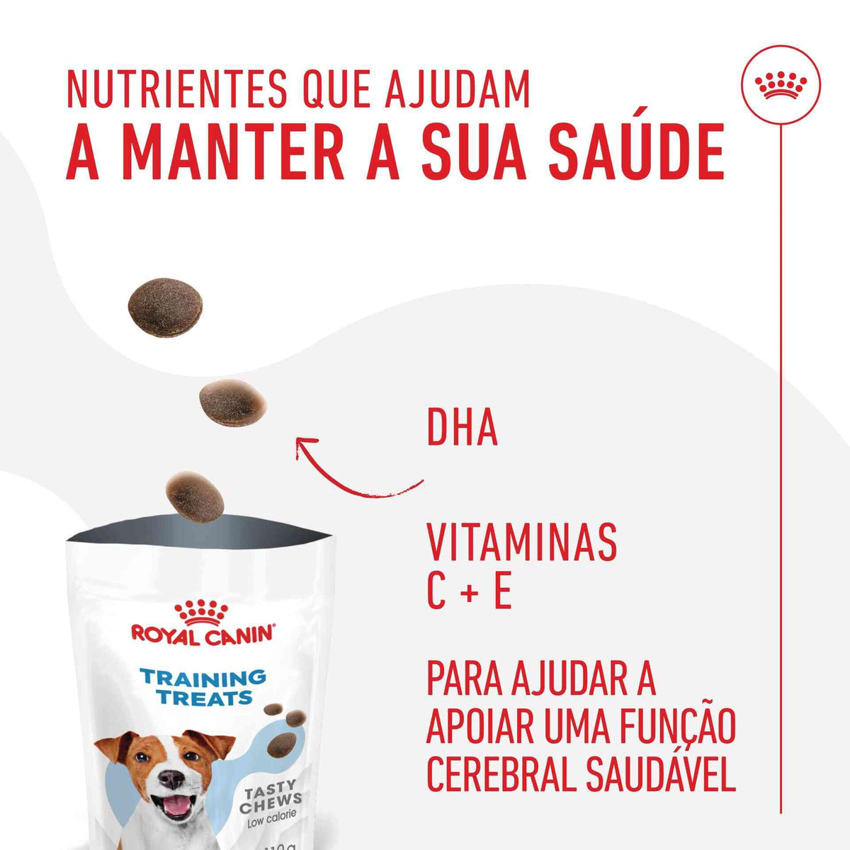 Snack para Cão Training Treats Royal Canin