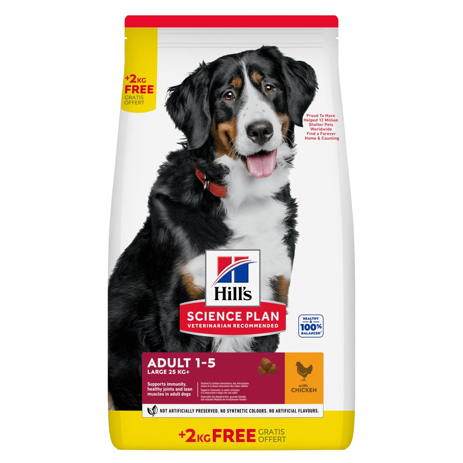 Ração para Cão Adulto Raças Grandes  Frango Hill'S Science Plan