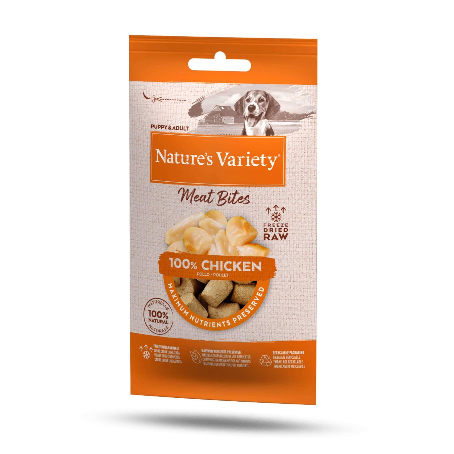 Snack para Cão Meat Bites Liofilizado Frango Nature'S Variety