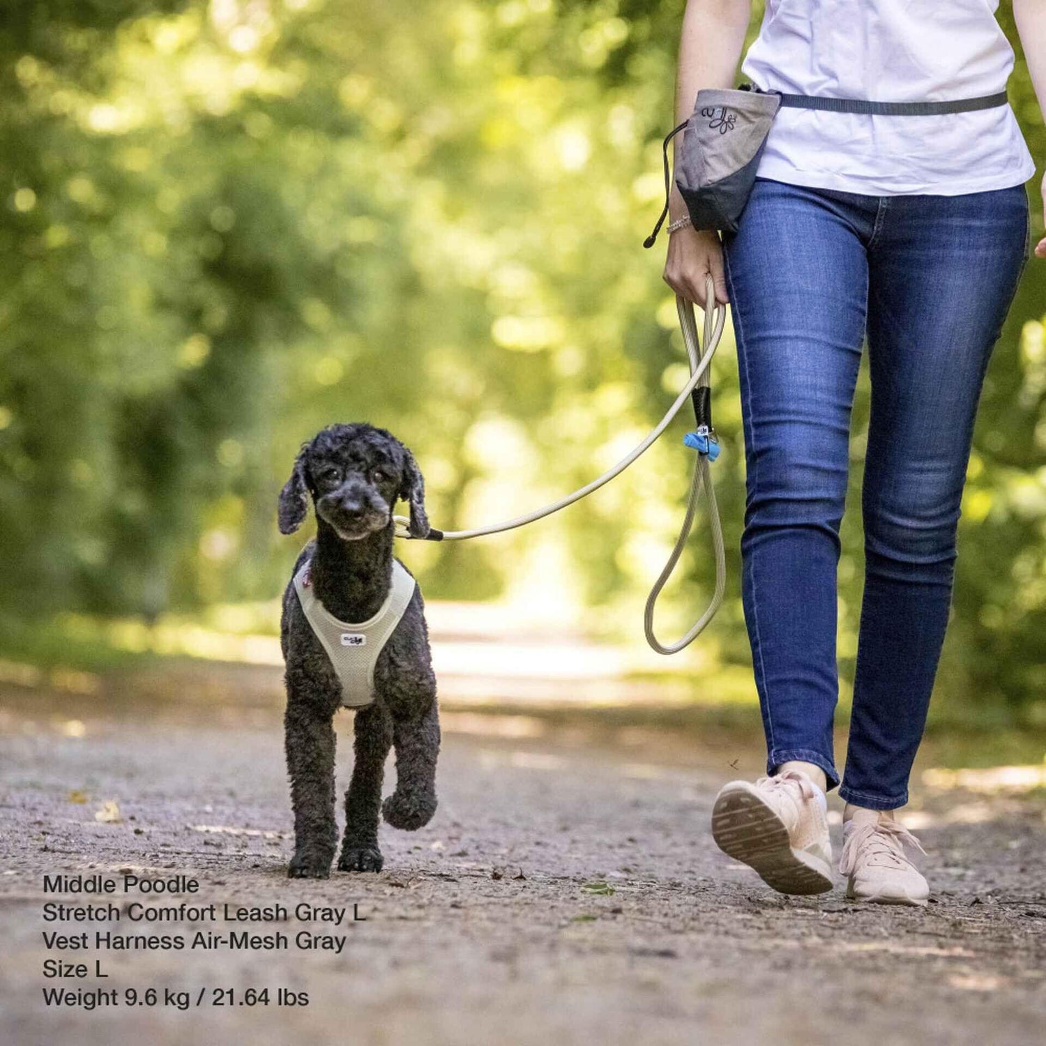 Trela para Cão Bege Comfort Curli