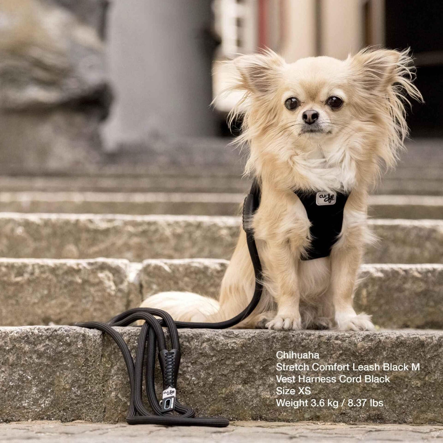 Trela para Cão Bordeaux Comfort Curli