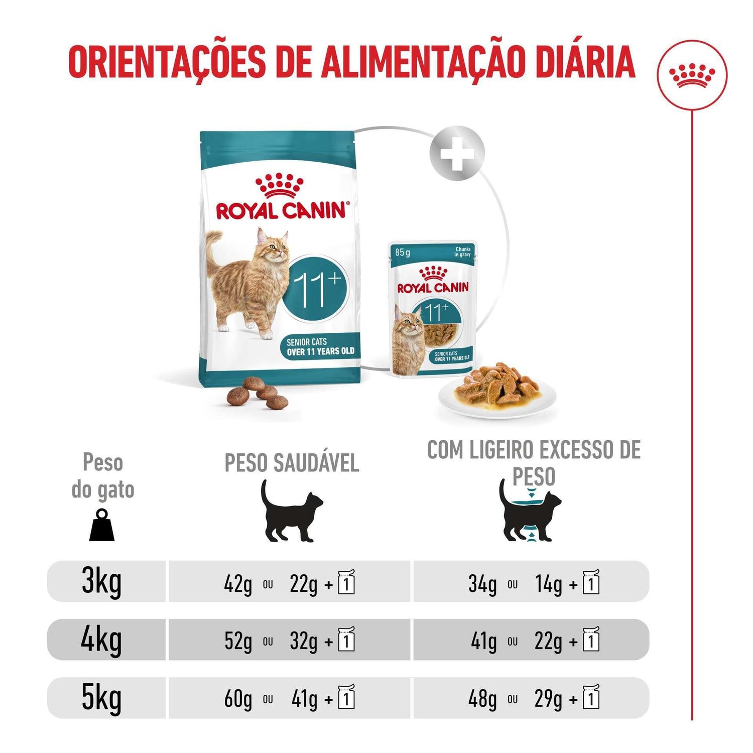 Ração para Gato Sénior Ageing+11 Royal Canin