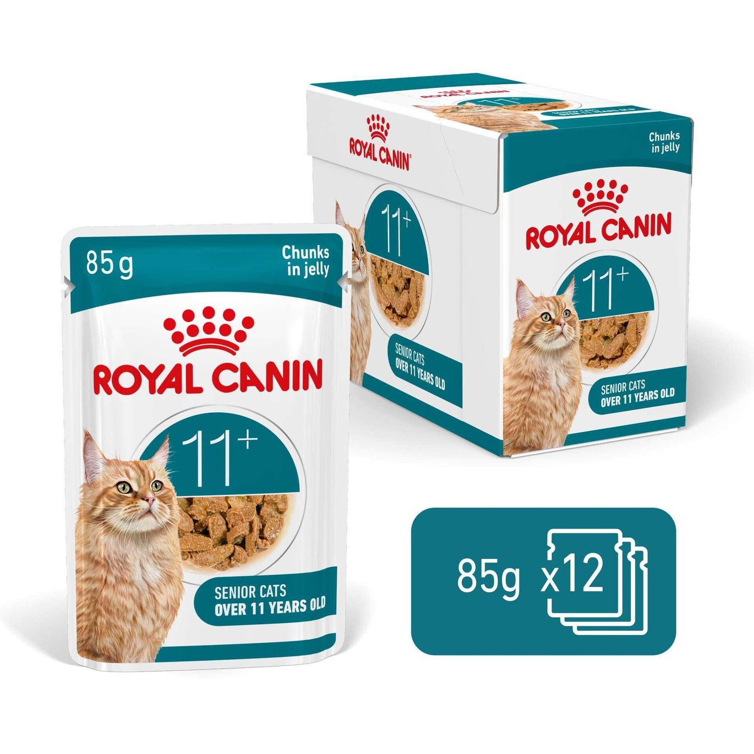 Pack Comida Húmida para Gato Sénior Ageing+11 em Geleia Royal Canin