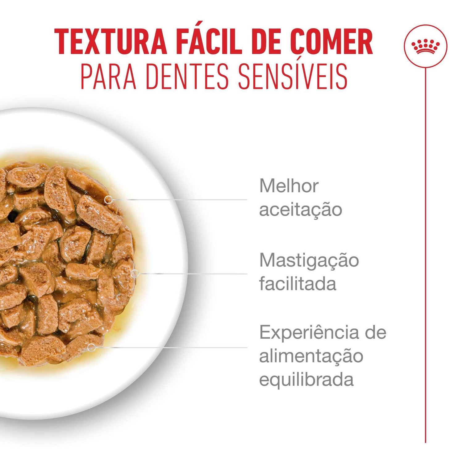 Comida Húmida para Gato Sénior Ageing+11 em Molho Royal Canin