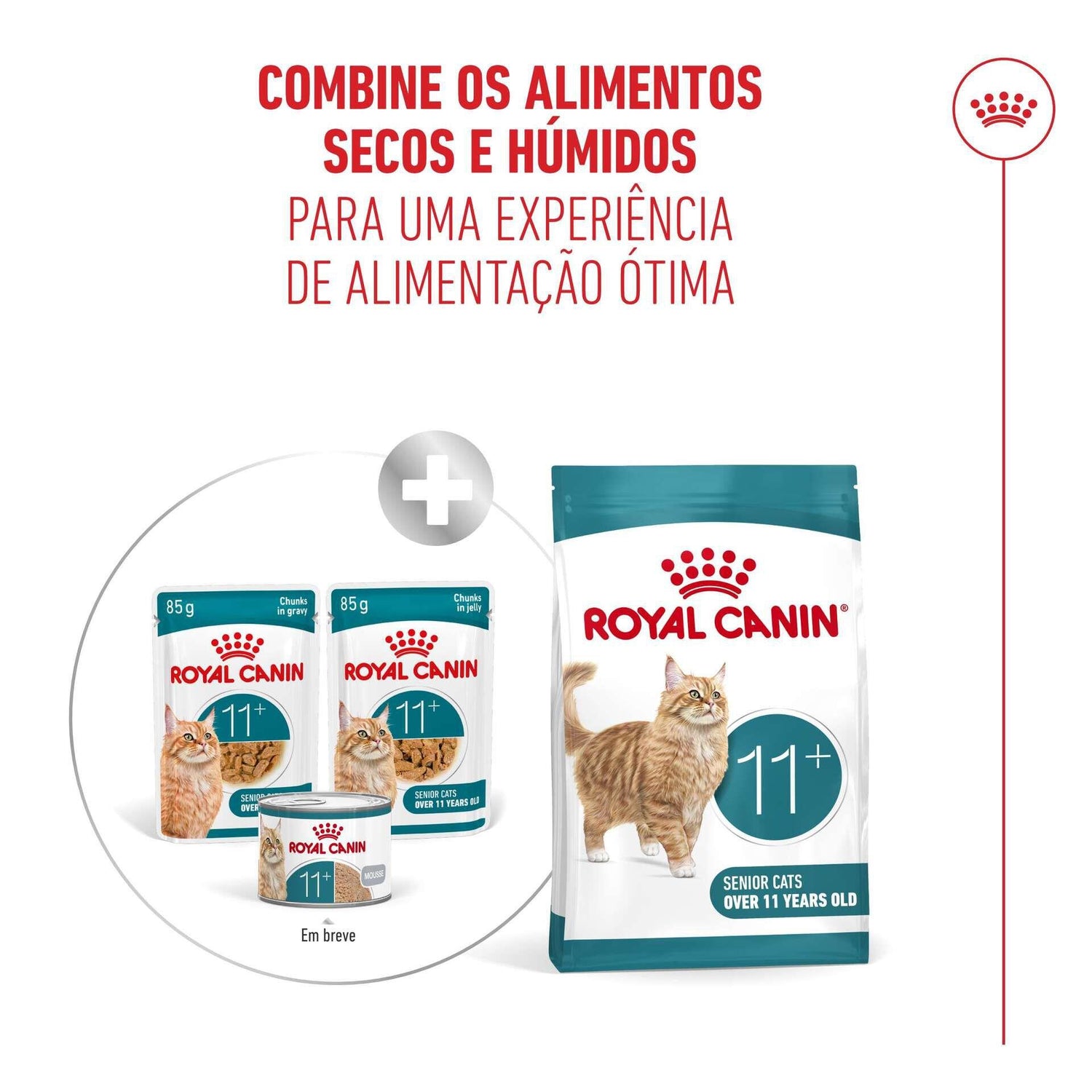 Comida Húmida para Gato Sénior Ageing+11 em Geleia Royal Canin