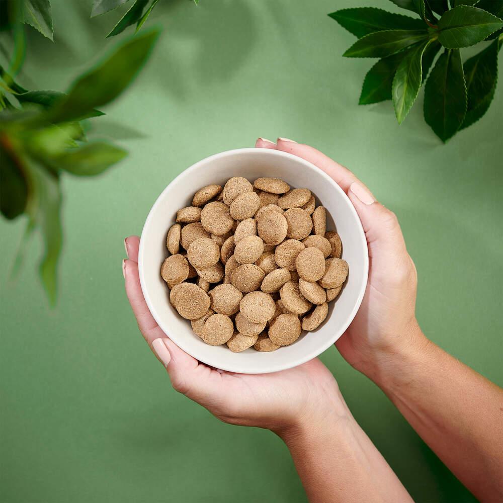 Ração para Cão Adulto Raças Grandes Frango Purenatural
