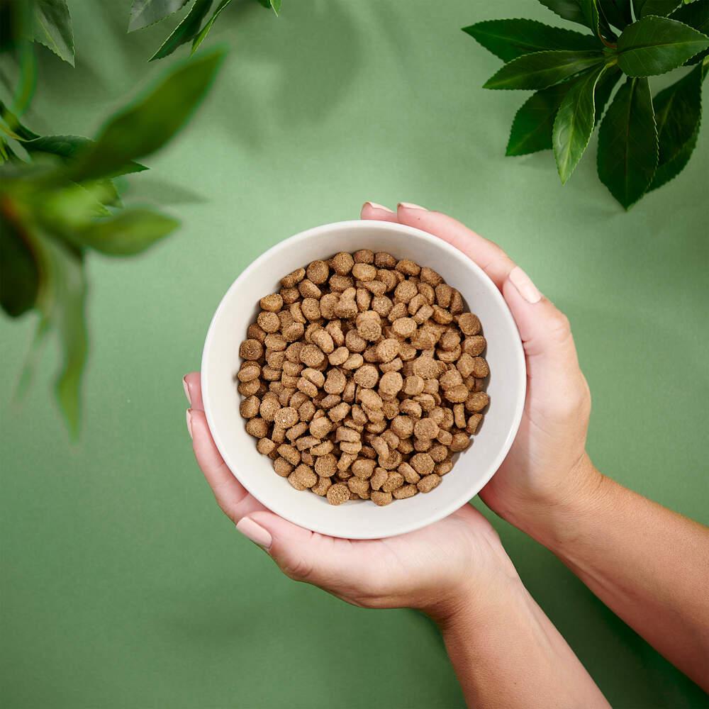 Ração para Cão Adulto Raças Pequenas Frango Purenatural