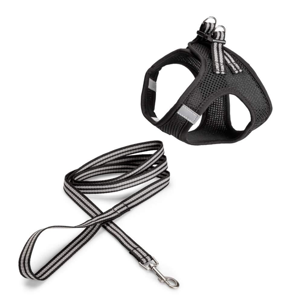 Peitoral e Trela Sporty Preta S Basic