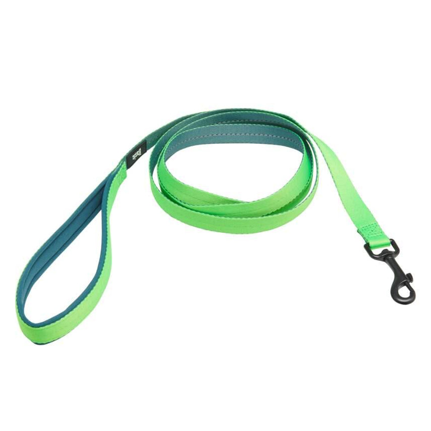 Trela Neon para Cão Verde 2m Basic