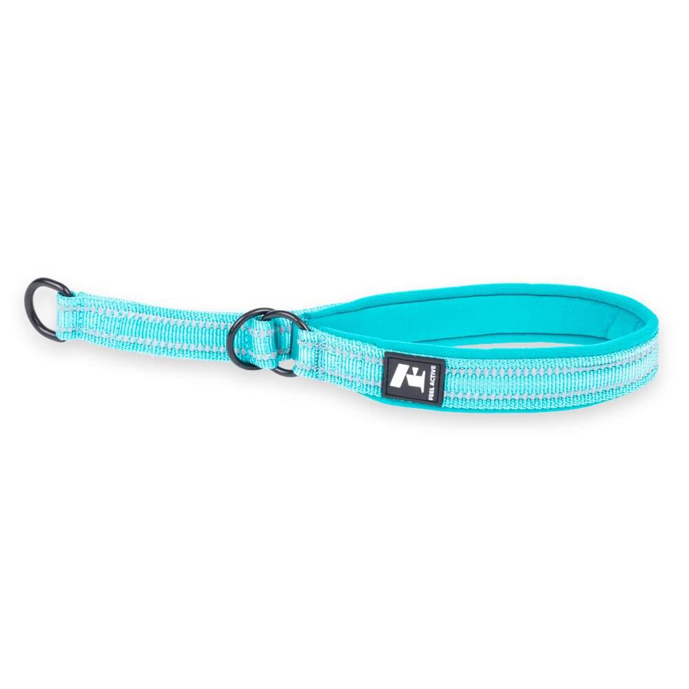 Coleira para Cão Acolchoada Azul 40-50cm