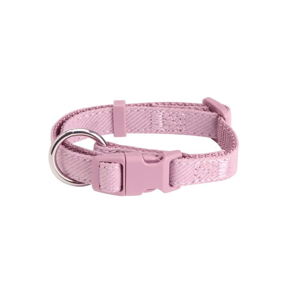 Coleira para Cão Taffi Violeta 20 - 30cm Little & Bigger