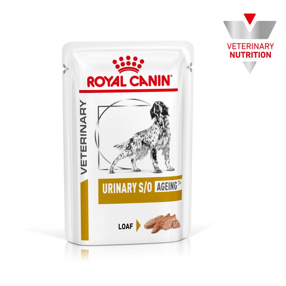 Pack Comida Húmida para Gato Digestive Care Mousse Royal Canin