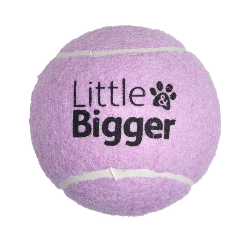 Bola de Ténis Lilás Little & Bigger