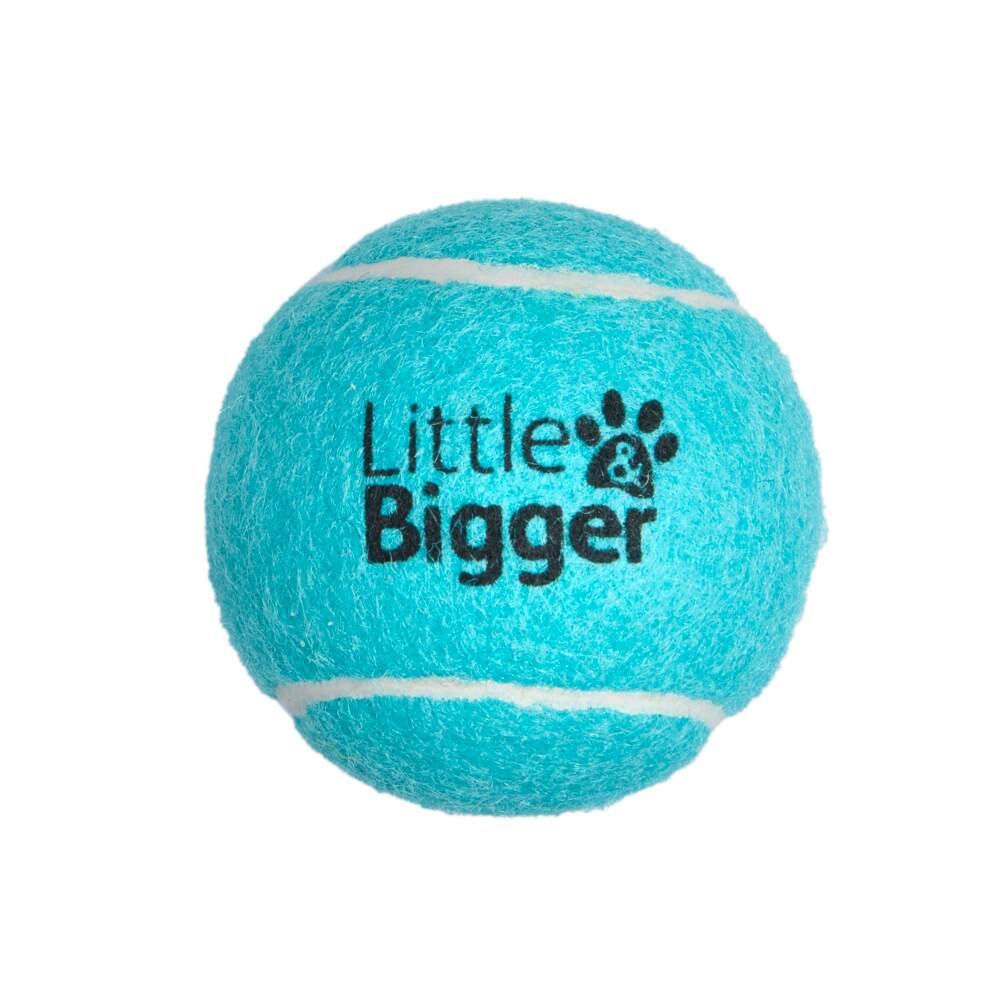 Bola de Ténis Turquesa Little & Bigger