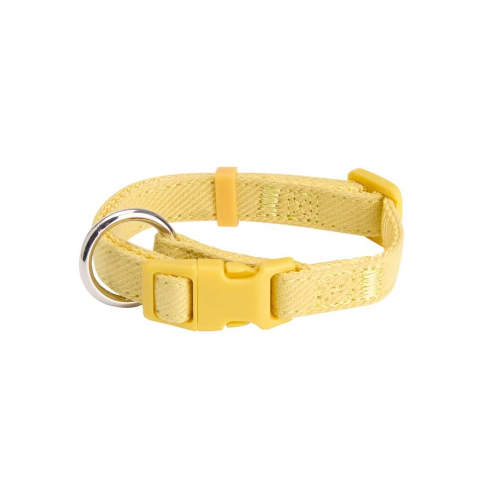 Coleira Taffi Lime Mist PuppyBasics Little & Bigger