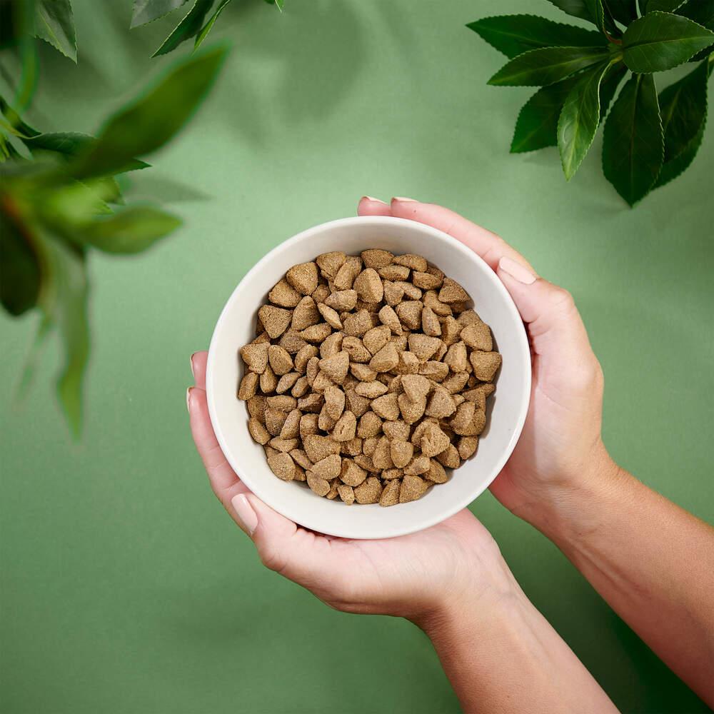 Ração para Cão Sensitive Salmão 2kg Purenatural