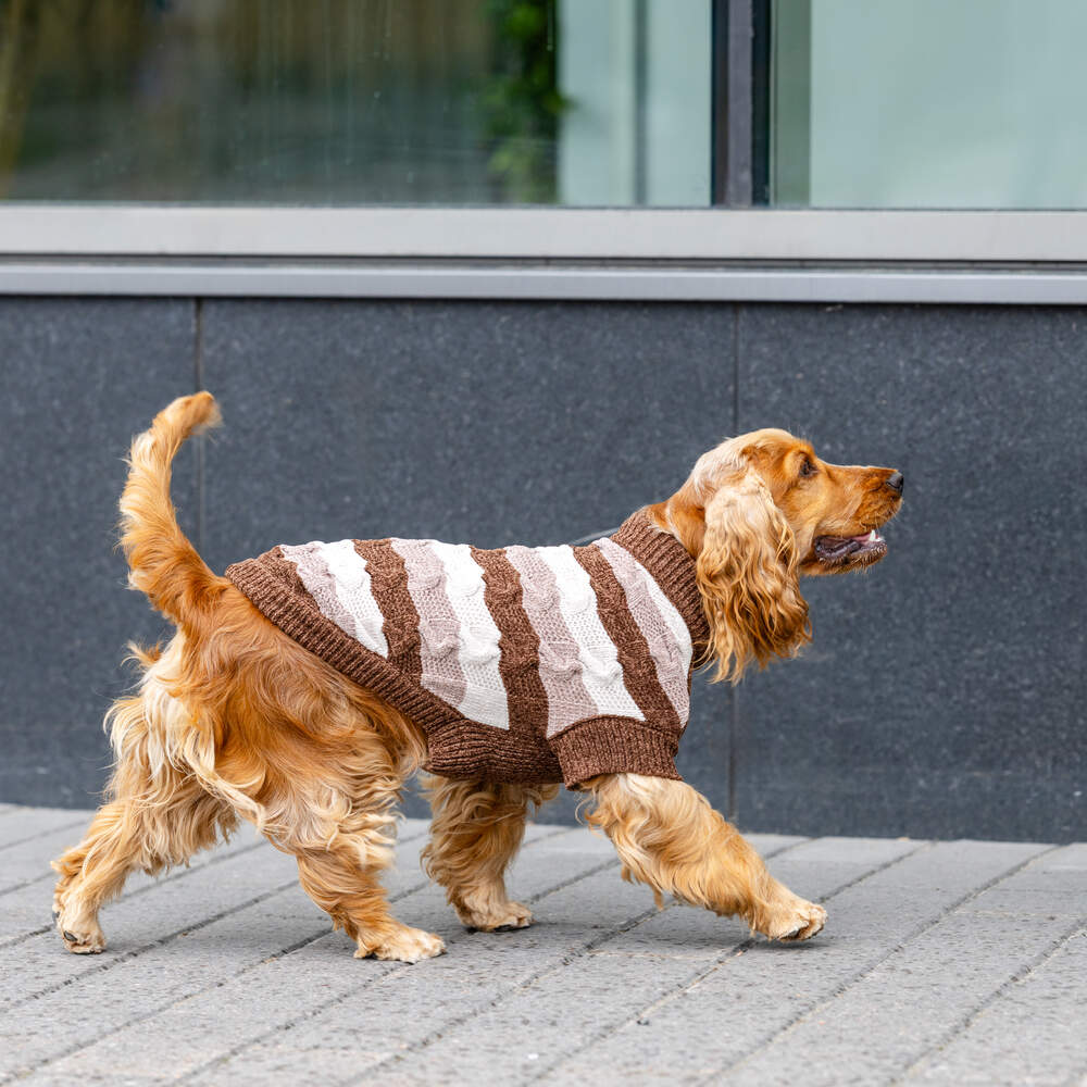 Camisola para Cão em Tricôt Riscas Castanha Little & Bigger