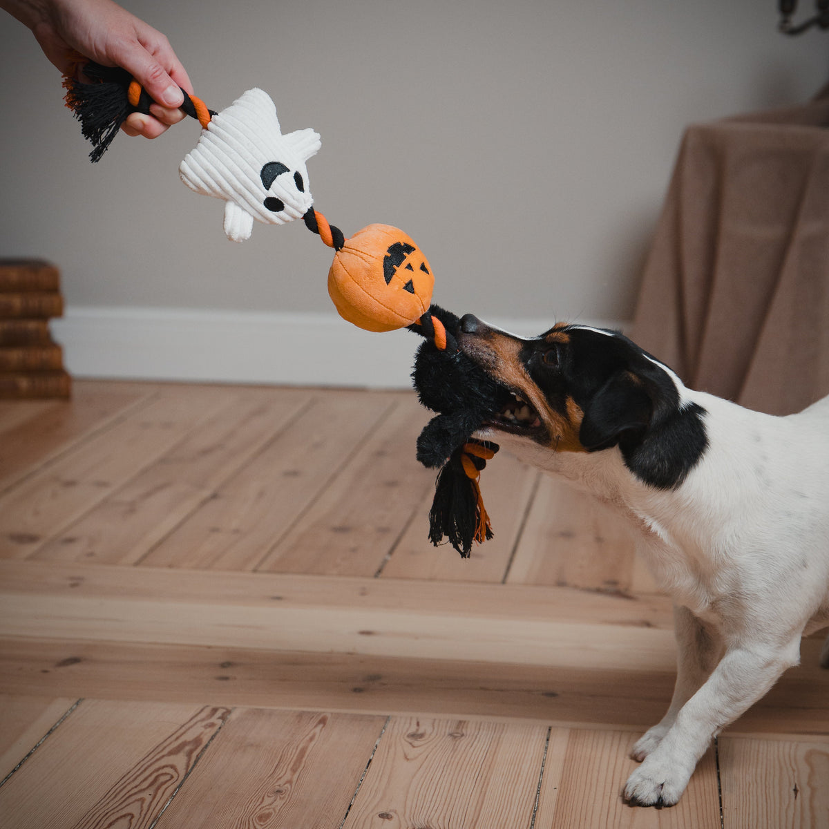 Brinquedo para Cão Halloween de Corda com Peluches Little & Bigger