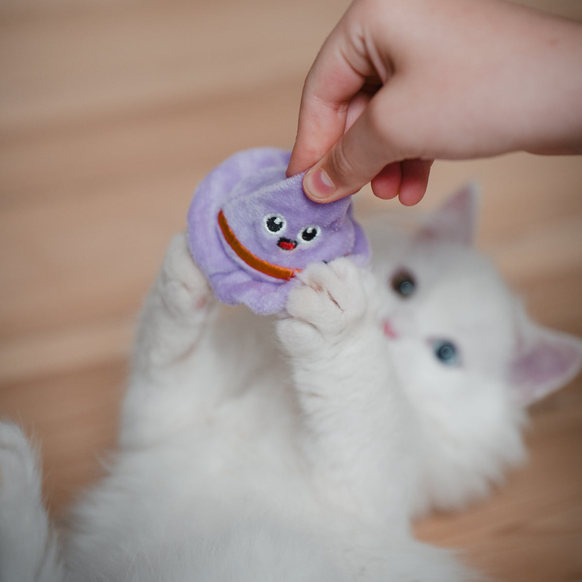 Brinquedo para Gato Halloween Chapéu com Catnip Little & Bigger
