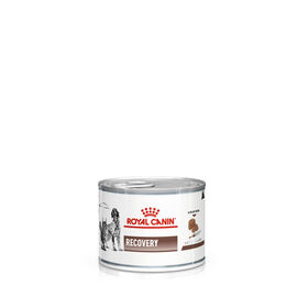 Recovery royal canin