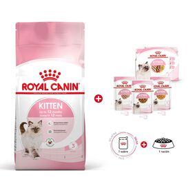 Kit de Alimentação para Gato Júnior